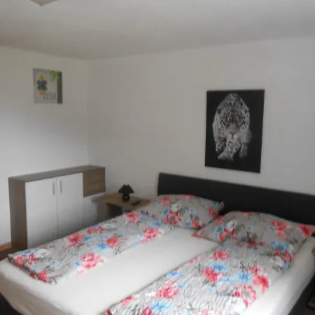 Dankl Casa vacanze Hollersbach im Pinzgau