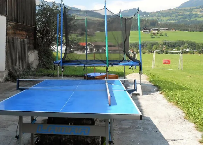 Tatil Evi Dankl Hollersbach im Pinzgau